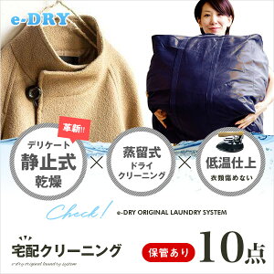 クリーニング 保管 宅配クリーニング ＼ブロガー推薦!/ 保管付き 詰め放題 最大10点 クリーニング カシミアクリーニング スキーウェアクリーニング 天然石鹸クリーニング 【サービス特集認定商品】