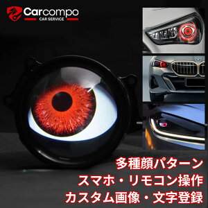 _tCf[I10OFF+P5{^y2025ŐVj[AŁzX}z^CvŐVׁ devil eyes ԗpfrACCg JX^摜Eo^ oCN frAC 24v USB frAC y