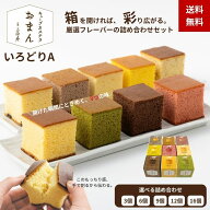 【送料込】キューブカステラ おまん 【 いろどりA 】9種 9個以上で全種揃う 3/6/9/12/16個【三源庵】カス…