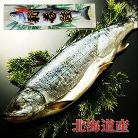 令和6年産 北海道産　銀毛 新巻鮭1本化粧箱入れ（1.8～2kg）