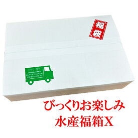 魚 海鮮 びっくりお楽しみ水産福箱X