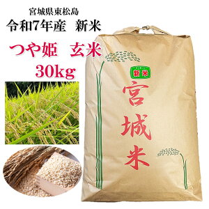 PyYҒzV ߘa7NY { P  30kg 2025NxY@{錧Y