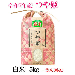 PyYҒzV ߘa7NY { P 5kg 2025NxY@{錧Y