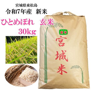 Vā@ЂƂ߂ڂyYҒzߘa7NY V {錧Y ЂƂ߂ڂ  30kg