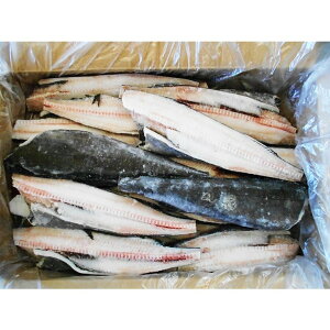 �Ɩ��p�@��L�Z���^�[�J�b�g�t�B��?10kg�u3�E4�|���h�g�p�v�i2540�~/1kg�j