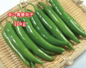 辛い青唐辛子　10kg（1箱）（韓国食品、野菜）