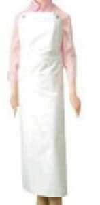 [][ƎҌ] GXeO|ėp^Cv@tJ[[][TCY90x120cm][萔50]sFs{쐳K㗝Xt(hERۉH)