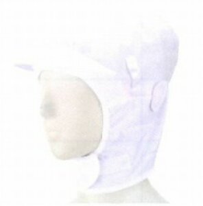 [][ƎҌ] TjLbv5005[zCg][30(5×6ܓ)sFs{쐳K㗝Xt