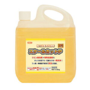 [ꃁ[J[4P[X()ȏ㑗]LindaXP[JbgP[4.5kg][͗][KRȓAJEΌJXꔭ!!]slHƐK㗝Xt
