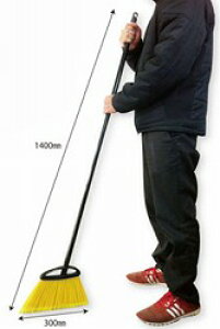 C^Au[ubN[{][XyA]sAv\K戵Xtⴁ@抄@nfB@P~J