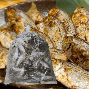 CY Y ւ낤 (ILqCM) ۊ 1kg 500g  ̂܂܏Ă ܂ ӎ  yⓀz ̓ 