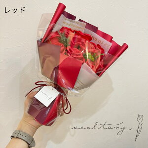 \[vt[ u[P Όt[ ԑ LO Cxg   