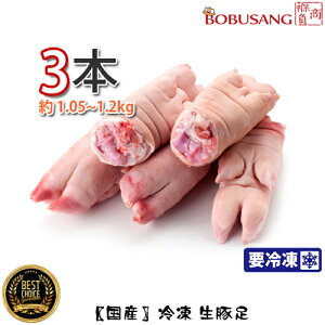 ؑyYzⓀ ؑ 3{(1.2kg) yⓀցz ؍Hi ؍ ؍H  ؓ ؓ ⓀH (00040x3)ySz