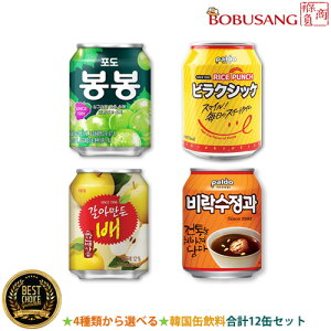 S4킩Iׂ遚u238mlxv12ʃZbgvywez肨낵W[X{{{ Ԃǂ+yrNzVbP Õď`{ʁݔׁ  ʈ ؍` hN \tgh