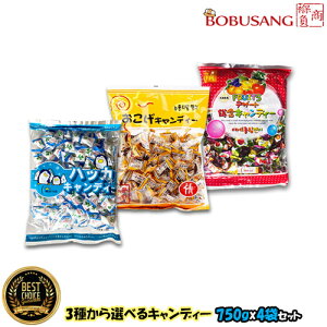 ؍LfB[ I3 AnbJAt[cI e750gx4܁y܁z ؍ ł ~g t[c [Ɩp] LfB[ َq 