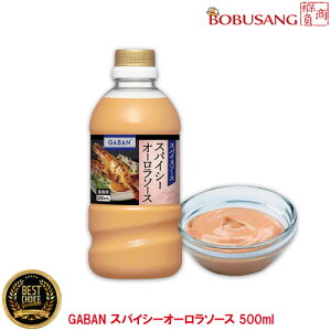 22{wyx̑f GABAN Mo XpCV[I[\[X 500mlx1{  sh\[X hq }l[Y XpCX g h |h\[X Ɩp { Y