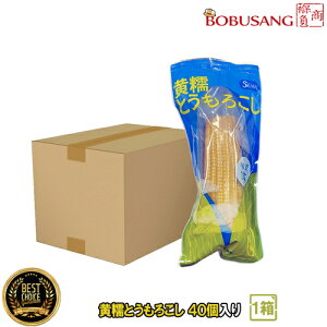 yyYzƂ낱 40{Zbgi1BOXj e/l/ Ƃ낱/^pbN/R[/dqWOK/AHi/ƒp/Ɩp/ۑH/H 