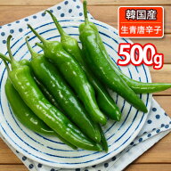【青唐辛子 生青唐辛子 500g】「冷蔵便」「辛口」 「韓国産」 チョンヤンゴチュ 韓国食品 輸入食品 輸入…