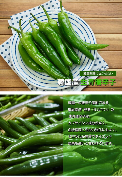 楽天市場】【韓国産】青唐辛子 1kg 生唐辛子「冷蔵便」「辛口」 「韓国 