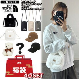 ★当日発送(休日除く13:30までの注文)★【福袋 2026】 THE NORTH FACE TNFLB002 バッグ キャップ ノースフェイス人気アイテム福袋 ☆ もこもこ レディース ハッピーボックス ラッキーボックス くま 韓国ファッション ノースフェイス 【正規品/関税込/送料無料】