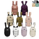 【正規品】 THE NORTH FACE リュック BOREALIS MINI BACKPACK NM2DQ26 ★ NM2DQ55 ★ NM2DR06 ☆ バックパック ロゴ クラシック 収納 バッグ メンズ レディース ユニセックス 韓国 ノースフェイス【関税込/送料無料】