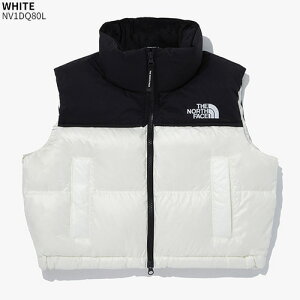 ő2000~N[||Cg2{ THE NORTH FACE _ExXg W'S NOVELTY NUPTSE DOWN VEST NV1DQ80  AE^[ fB[X y O[X_E Nbvh ؍ m[XtFCXyKiz