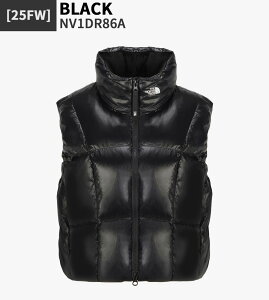 yKiz THE NORTH FACE _ExXg W'S OLAN DOWN VEST (RDS) NV1DR86  LeBO AE^[ Vv JWA Xg[g fB[X ؍t@bV m[XtFCX y֐ō/z