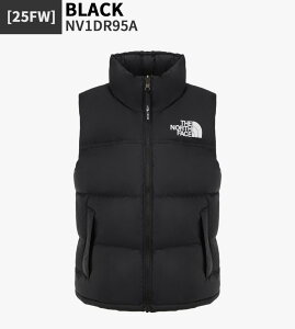 yKiz THE NORTH FACE _ExXg W'S 1996 RETRO NUPTSE VEST NV1DR95  LeBO AE^[ Vv JWA Xg[g fB[X ؍t@bV m[XtFCX y֐ō/