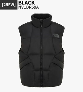 yKiz THE NORTH FACE _ExXg M'S SKYE DOWN VEST (RDS) NV1DR59  Y xXg x[VbN S fC[ t H ~ lC ؍ ؍t@bV m[XtFCX y֐ō/z
