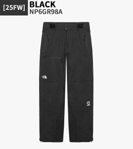 ő2000~N[||Cg2{ THE NORTH FACE pc M'S WHISTLER GTX SKI PANTS NP6GR98  XL[pc Opc Y H ~ ؍t@bV m[XtFCX yKiz