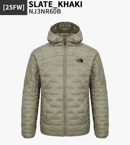 ő2000~N[||Cg2{ THE NORTH FACE WPbg M'S HEATLINE JACKET NJ3NR60  AE^[ Y X|[eB g[jOY t H ~ ؍t@bV m[XtFCX yKiz