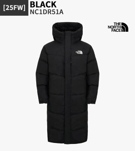 ザ・ノース・フェイス(THE NORTH FACE) ロング メンズダウンジャケット 
