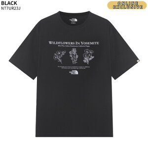 yKiz THE NORTH FACE TVc FLOWER EX S/S R/TEE NT7UR23   Y fB[X Vv JWA Xg[g t  H ؍ lC m[XtFCX y֐ō/z