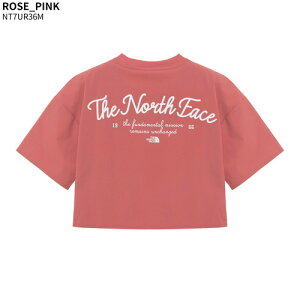 yKiz THE NORTH FACE TVc W'S ICE RUN S/S R/TEE NT7UR36  gbvX fB[X  Zߏ JWA Xg[g Vv S t  H ؍ lC m[XtFCX y֐ō/z