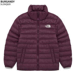 yKiz THE NORTH FACE _EWPbg K'S DAYLIGHT T JACKET NJ3NQ60  NJ3NR54  AE^[ q ǂ WjA X^hlbN j̎q ̎q S Xg[g ؍ m[XtFCX y֐ō/