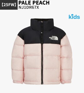 yKiz THE NORTH FACE _EWPbg K'S 1996 NUPTSE JACKET (RDS) NJ1DR67  AE^[ q ǂ WjA  j̎q ̎q S m[XtFCX y֐ō/z