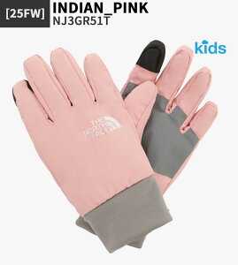 yKiz THE NORTH FACE  K'S SNOW GLOVES NJ3GQ53  NJ3GR51  O[u LbY h~ ~ Xg[g AEghA JWA j̎q ̎q H ~ ؍ m[XtFCX y֐ō/