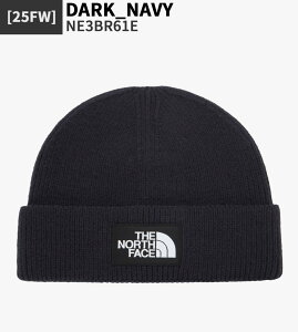 【正規品】 THE NORTH FACE ビーニー BIG LOGO BEANIE NE3BQ52 ★ NE3BR61 ☆ ビッグロゴ ニット帽 帽子 レディース メンズ カジュアル ストリート ノースフェイス 【関税込/送料無料】