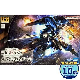 【エントリーでP10倍】バンダイスピリッツ HG 機動戦士ガンダム 鉄血のオルフェンズ ガンダムヴィダール 1/144 プラモデル 新品 未開封