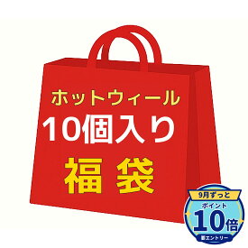 【エントリーでP10倍】【福袋】【被りなし】 マテル ホットウィール Hot Wheels ベーシックカー アソート 10台入り ミニカー ランダム お楽しみセット 誕生日 クリスマス プレゼント
