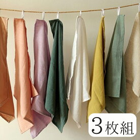 【全品クーポン対象】3枚セット 無地 シンプル 同色セット ループタオル タオル 幼稚園 保育園 学童 入園 入学 お手拭きタオル 洗い替え 男の子 女の子 大人 お弁当包み お弁当 ランチクロス ループ付き 送料無料
