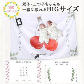 【全品クーポン対象】双子用 バースデータペストリー 誕生日 装飾 インテリア ウォールデコレーション フォトブース ハーフバースデー フォト 写真 背景 ベビー 赤ちゃん ベビーギフト 横長 記念日 100日 飾り おしゃれ かわいい 三つ子用品 双子用品