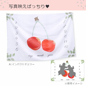 y11I5NӁzyXIWiz o[Xf[ ^yXg[ a  CeA EH[fR[V tHgu[X n[to[Xf[ tHg ʐ^ wi xr[ Ԃ x