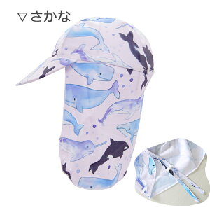 y5NӃCxgzyLO1ʁz[ LbY xr[ UVJbg Xq  tXq 悯ڂ xr[Xq XCLbv }nbg f  ct ۈ牀 w