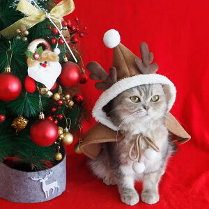 y5NӃCxgzNX}X ybg NX}Xc[ giJC T^ p Lp nEB nEB  L hbOEFA nEB RX`[ }g ^ RX