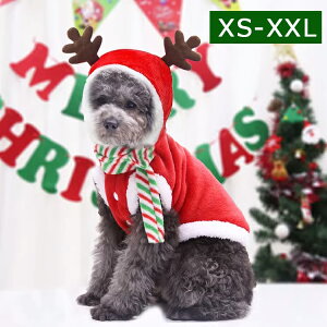 y\JnzNX}X }t[t ybg NX}Xc[ giJC T^ p  hbOEFA ^ Z[^[ʔFႢoqR[f gCv[ ^ j̎q 