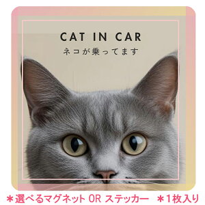 yO[˂zseptzero ԗpXebJ[ L hXebJ[ ` G ObY L lR IWi rbOXebJ[