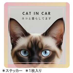 y5NӃCxgzyV˂zseptzero ԗpXebJ[ L hXebJ[ ` G ObY L lR IWi rbOXebJ[