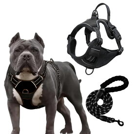 犬用ハーネス 中型犬用 引っ張り防止 抜けない 反射材付き 夏用 メッシュ リードセット 軽量 簡単装着 お散歩用 ペット用品 犬 散歩グッズ 犬用リード 犬ハーネス 犬快適 犬安全 犬散歩
