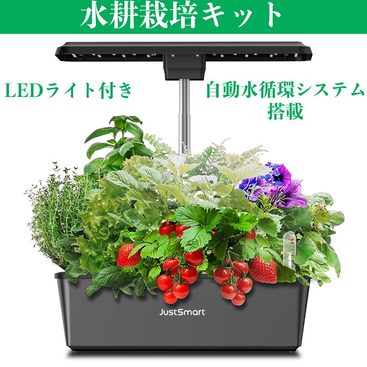 楽天市場】[お買い物マラソン最大2000円OFF]レビュー特典付 水耕栽培 